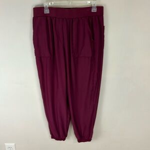 Urban Outfitters Silence + Noise Maroon  Lightweight Joggers Size Large